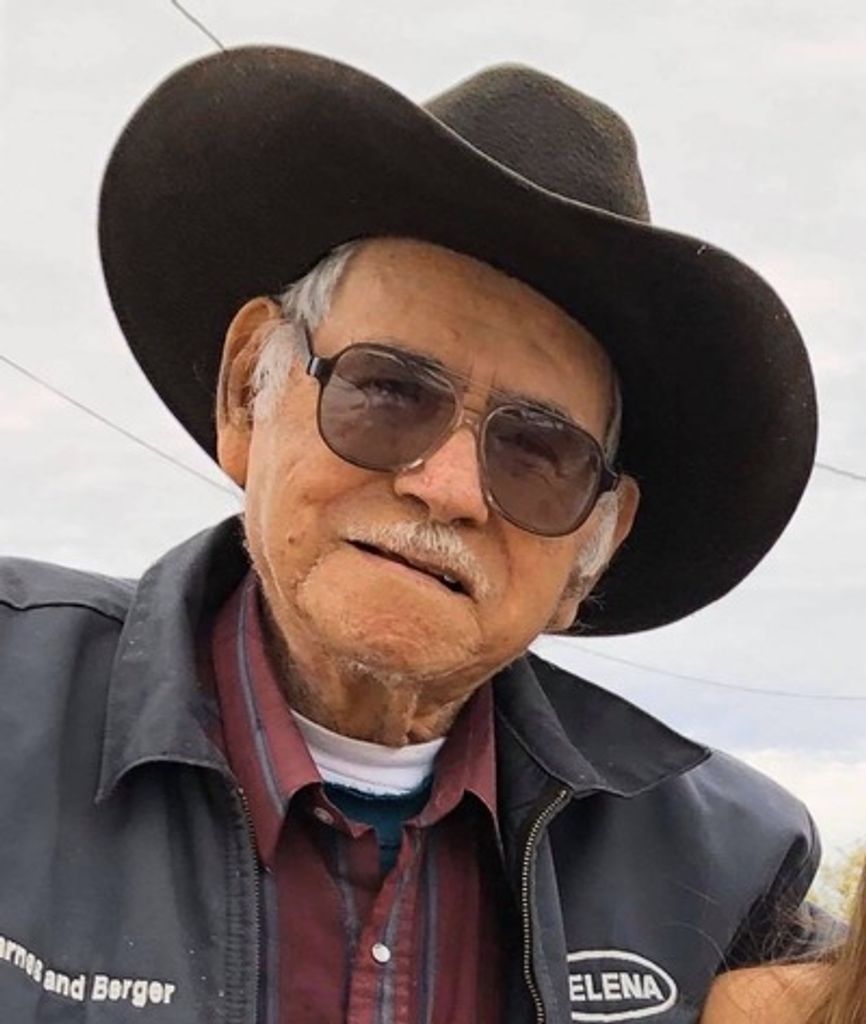 Ernesto Vingochea Profile Photo