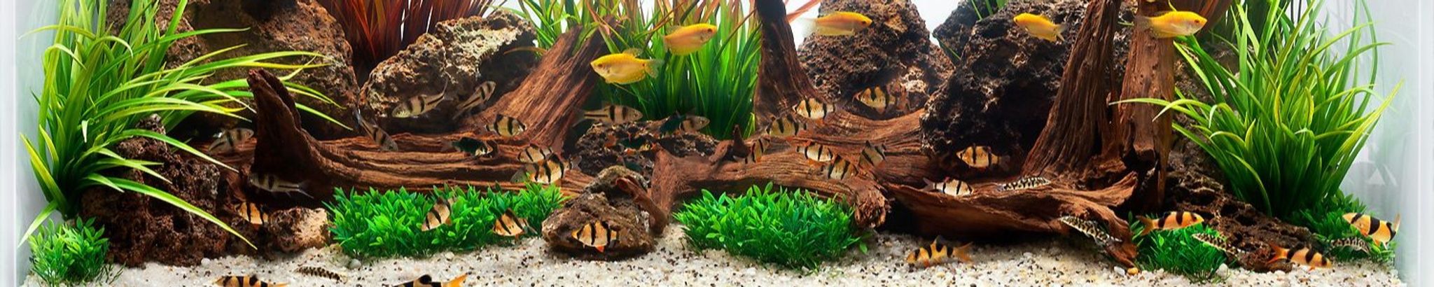 Cover for Edwin Joseph Lehan's Obituary