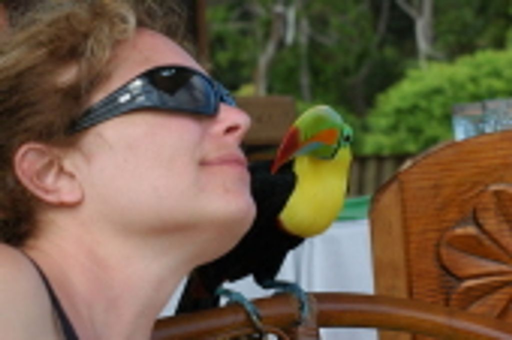 Lisa A. Arthur