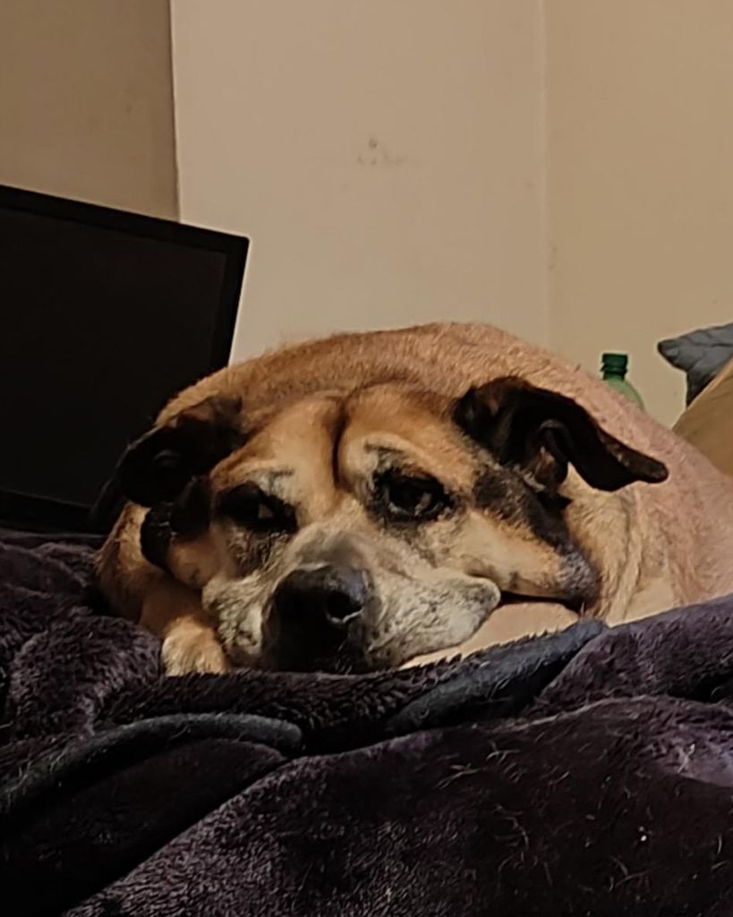 Jax Baisden