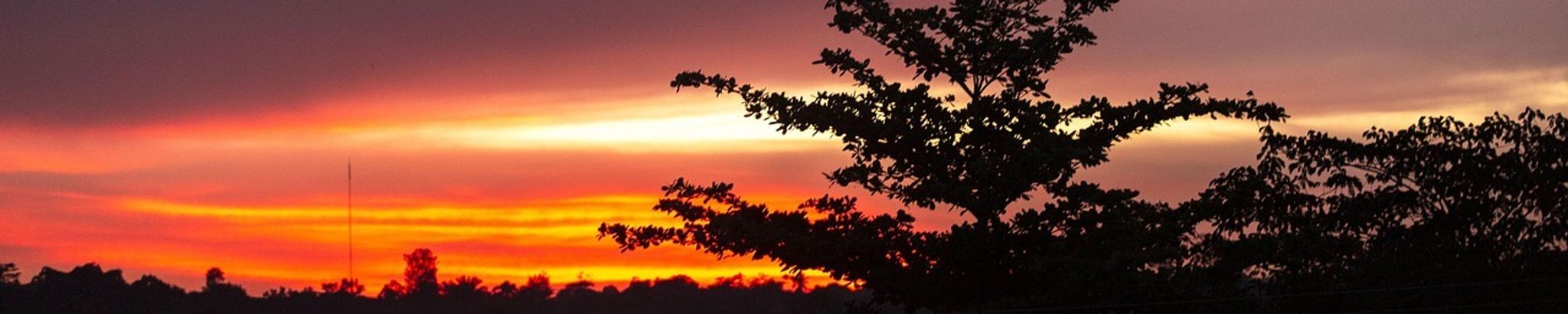 Cover for Gloria Aniebo-Williams's Obituary