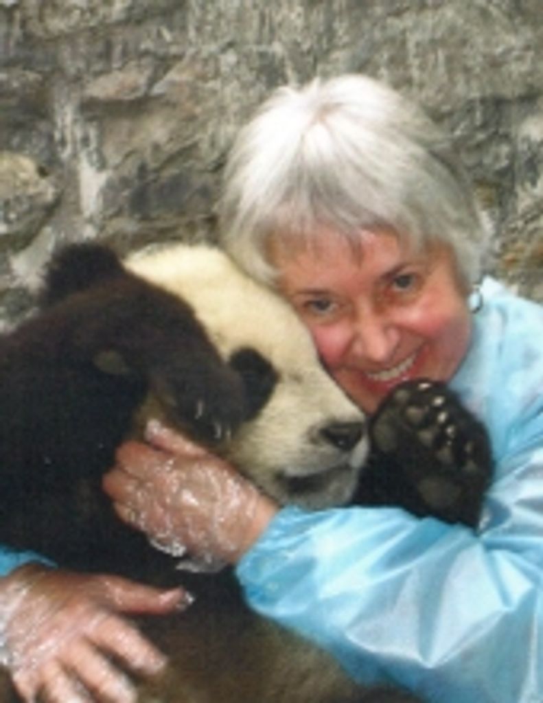 Linda Wachinski Profile Photo