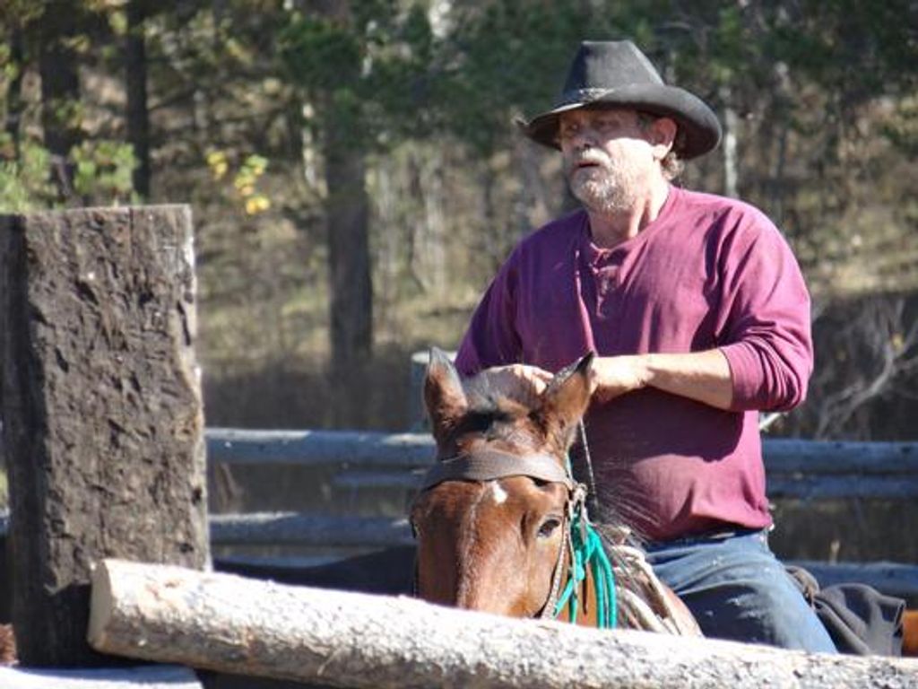Jeff Harrigfeld Profile Photo