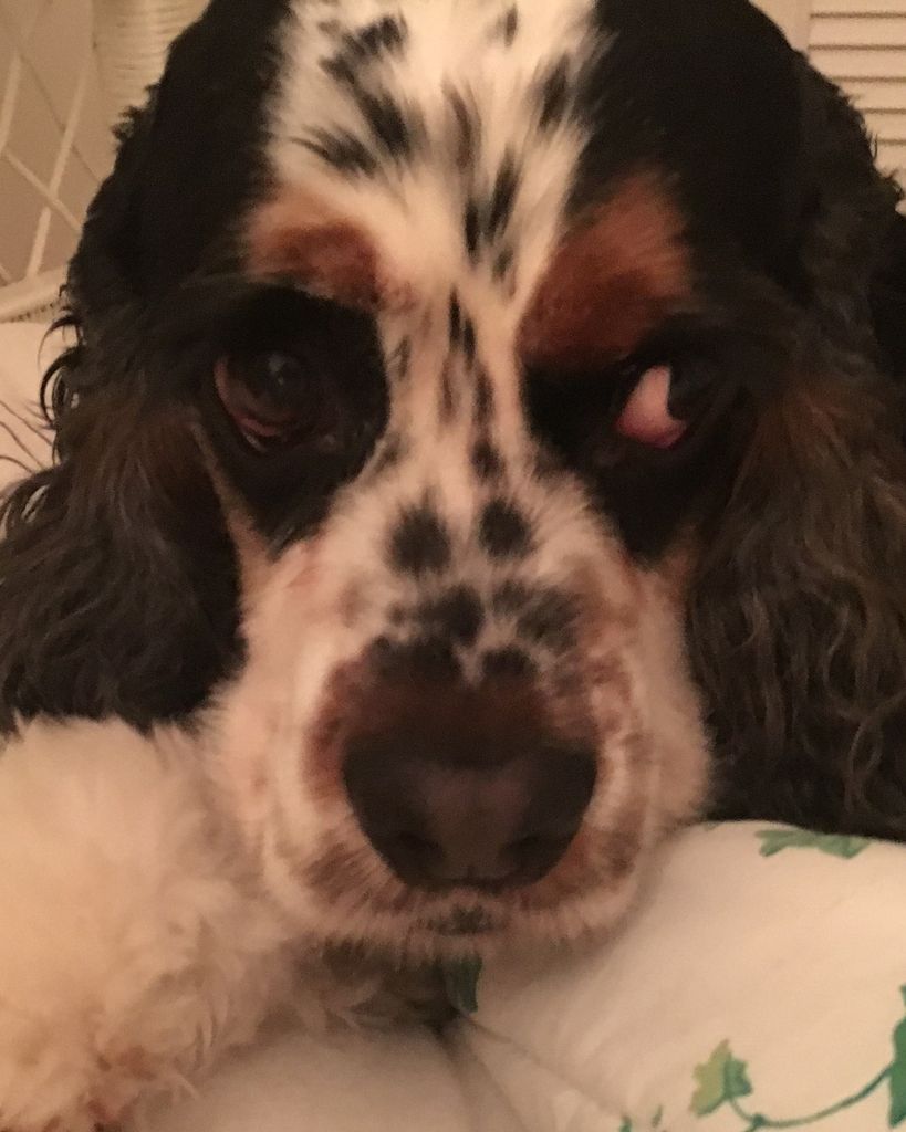 William Maddox Profile Photo