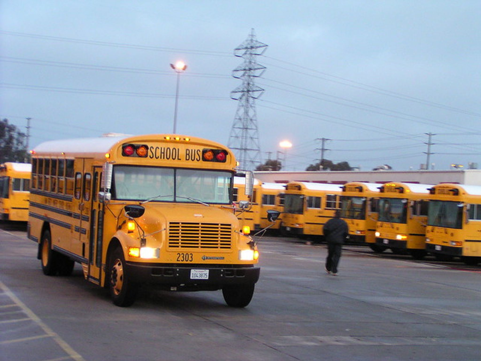 Cover for Sharon Sedgwick's Obituary