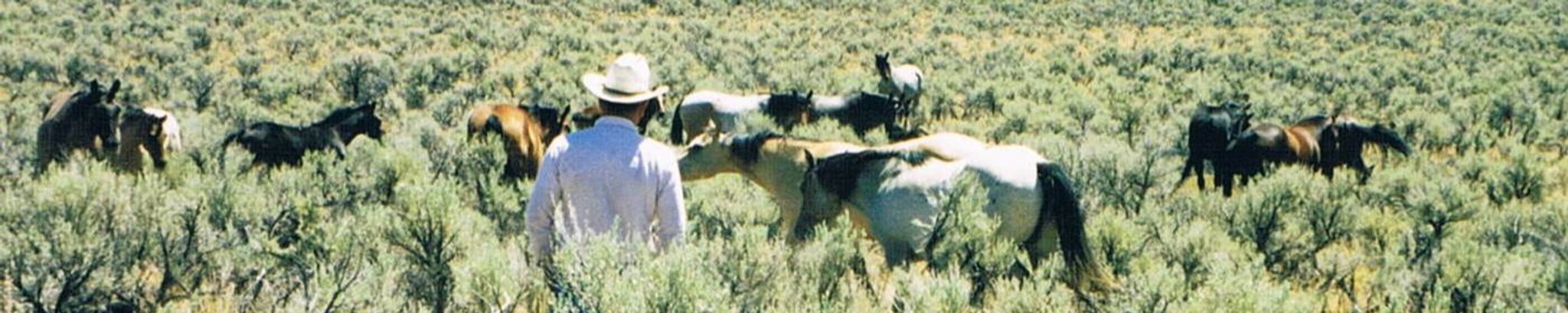 Cover photo for William Jay Wright's Obituary