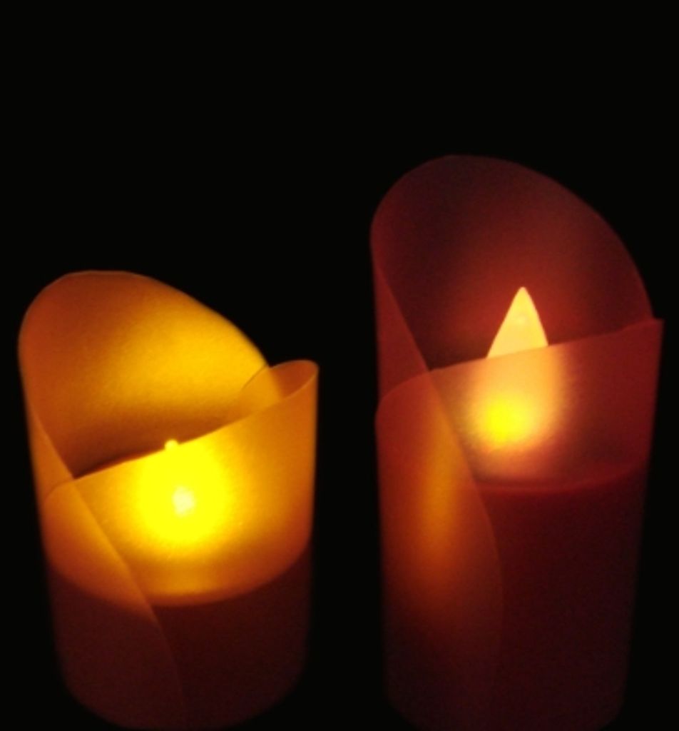 Karen Rose Seay Trigueiro Profile Photo