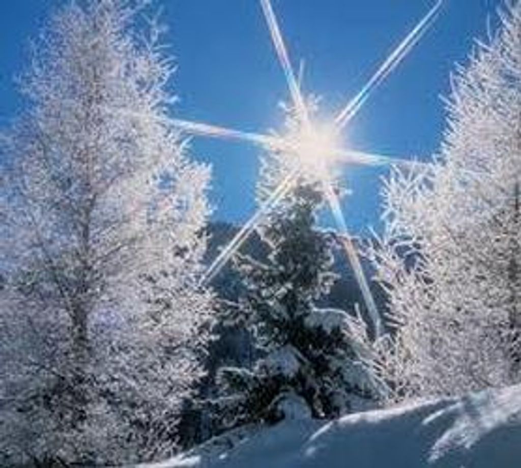 Steven A. Fowler Profile Photo