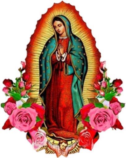 Etelina Saenz De Cobayashi Profile Photo