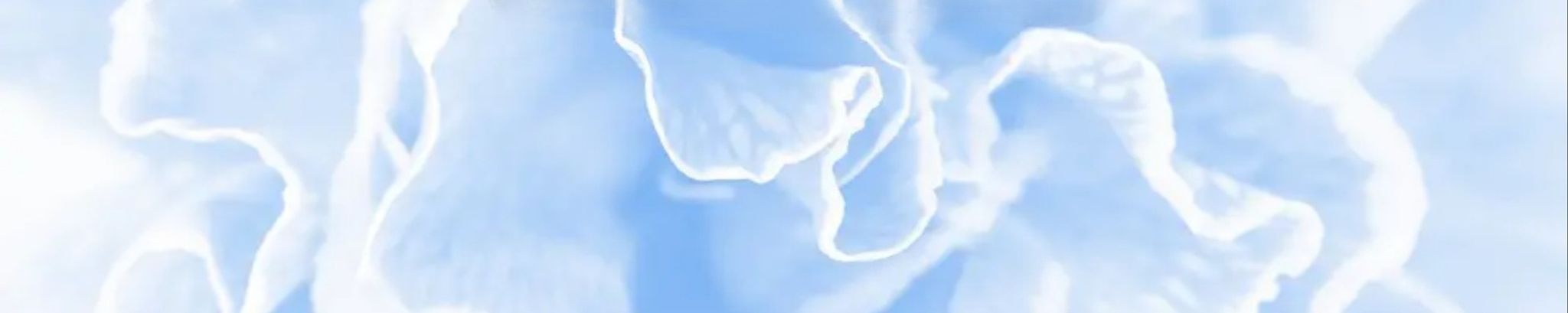 Cover for Dorothy Lee Verberg's Obituary