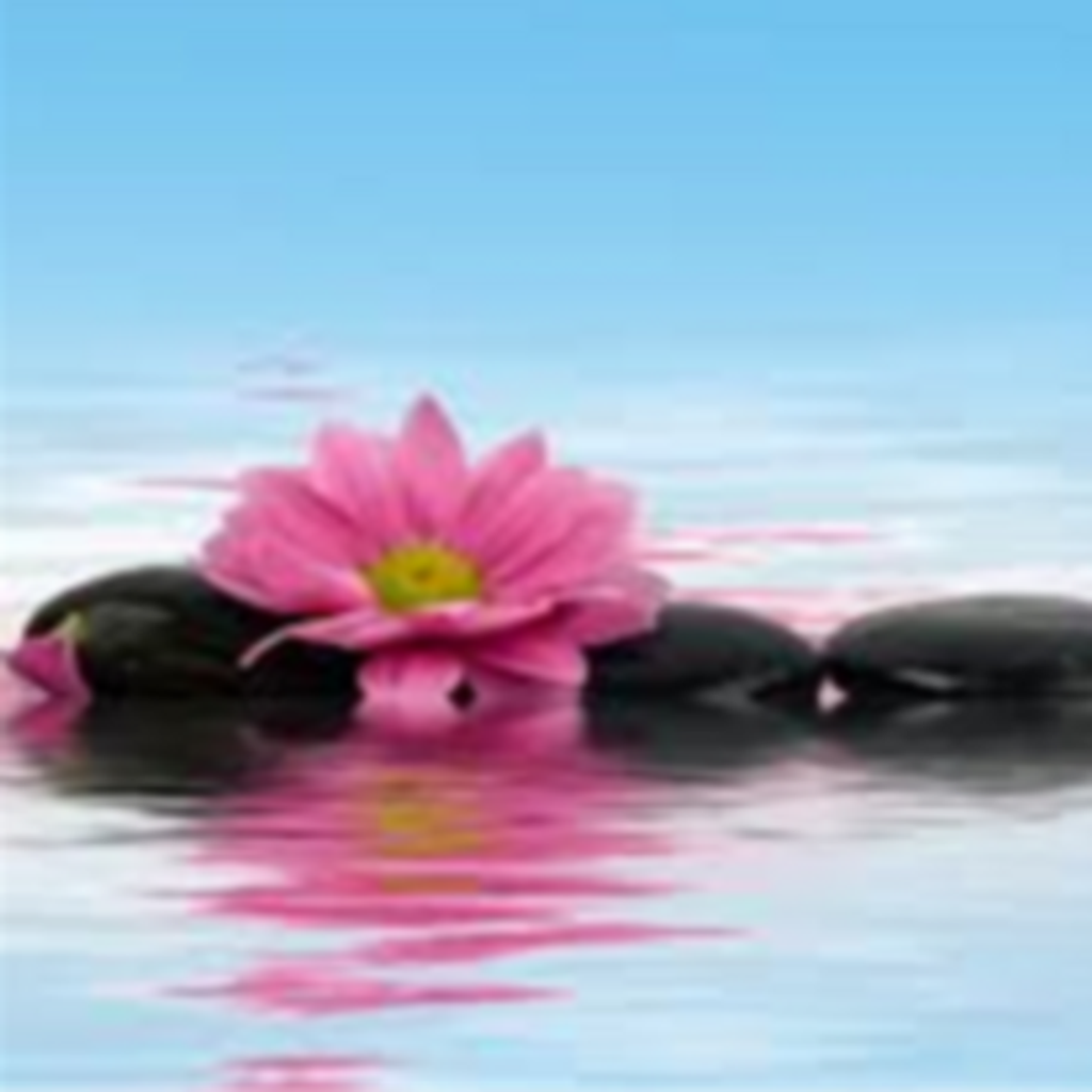 Sally Branstetter Edwards