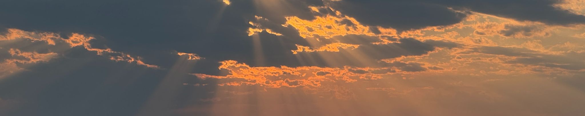 Cover photo for Lois Reddick's Obituary
