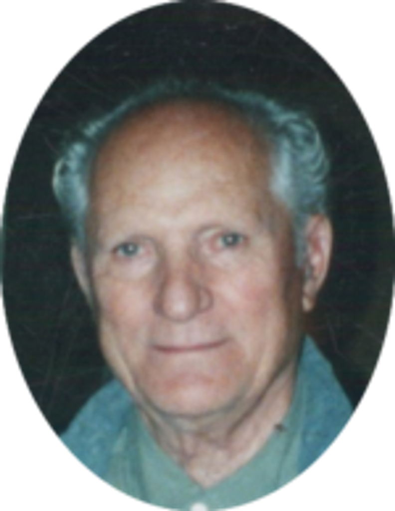 Alessio  Dante Collecchi Profile Photo