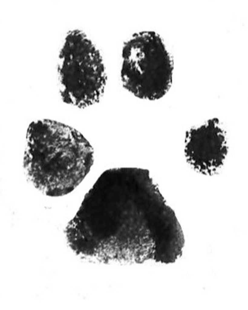 Piper Seagraves Profile Photo