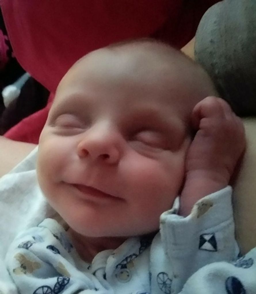 Isaac Orion Daywalt Profile Photo