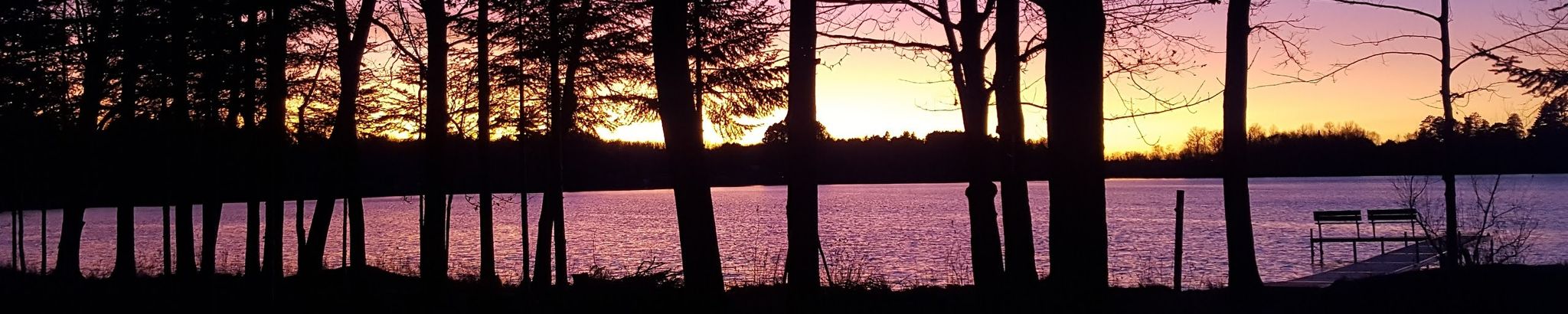 Cover photo for Anne Cranley Higgins's Obituary