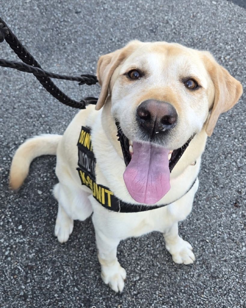 K-9 Alvin Julian Profile Photo