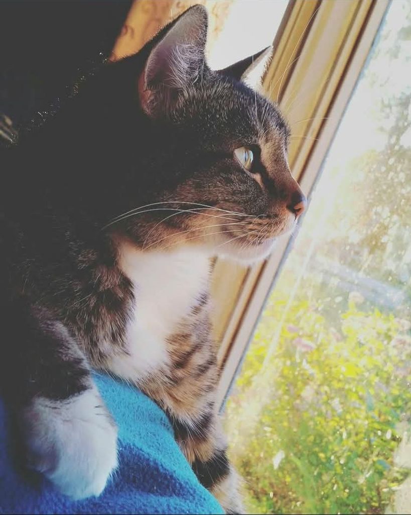Mila Geisinger Profile Photo