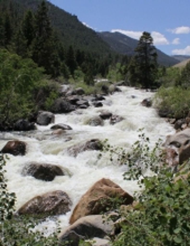 Richard Dale Patton Profile Photo