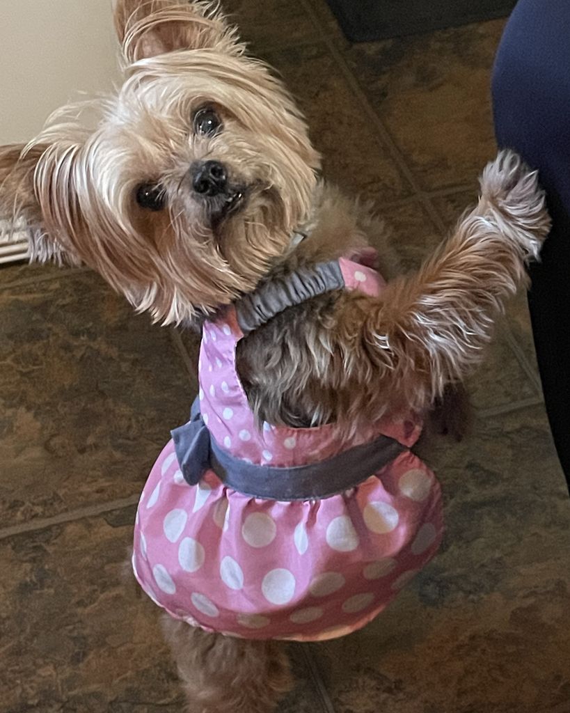 Muffin Neal