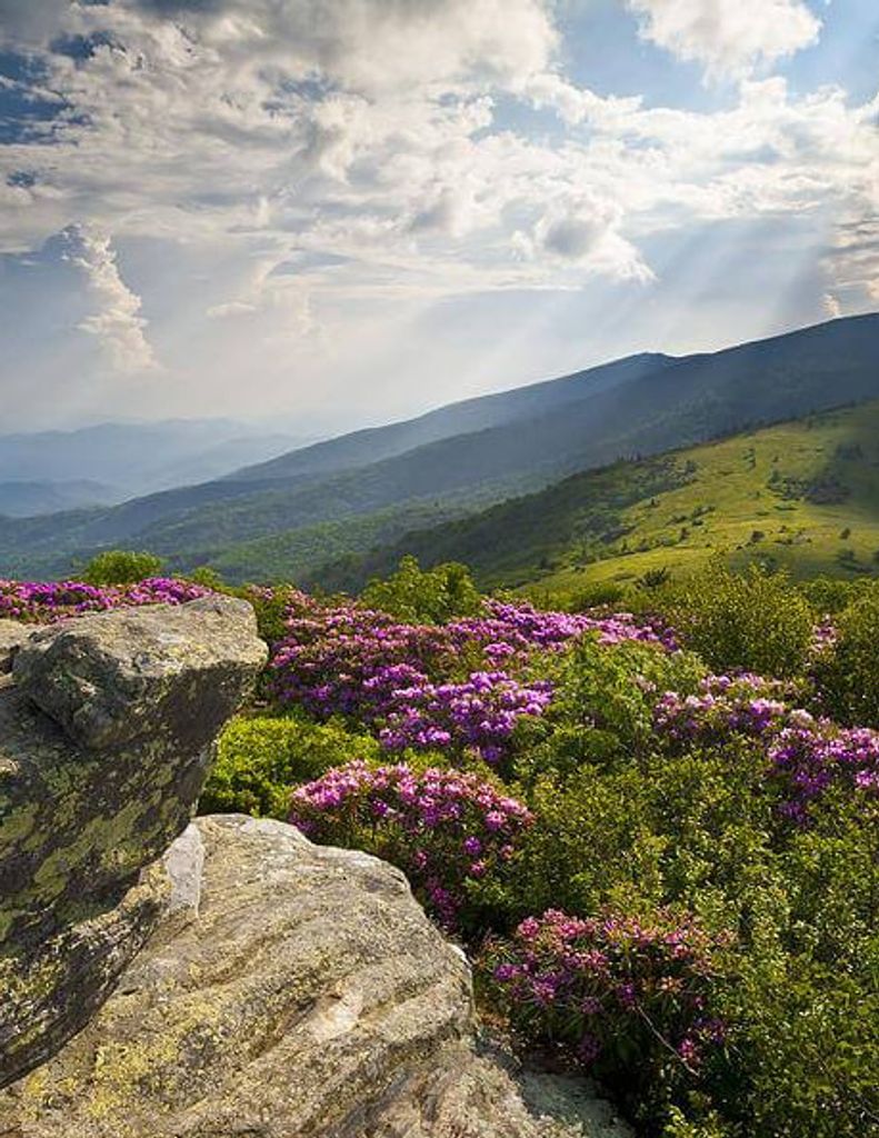 Larry Allen Gheen Profile Photo