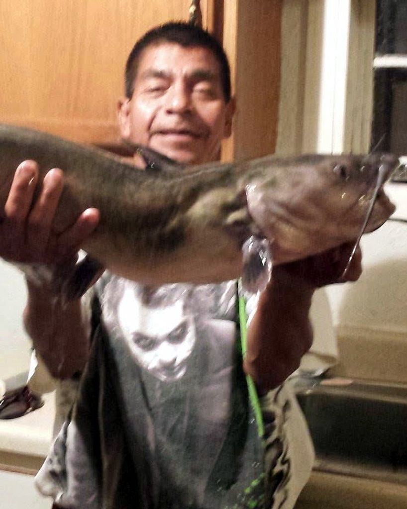 Luis Hernandez Profile Photo