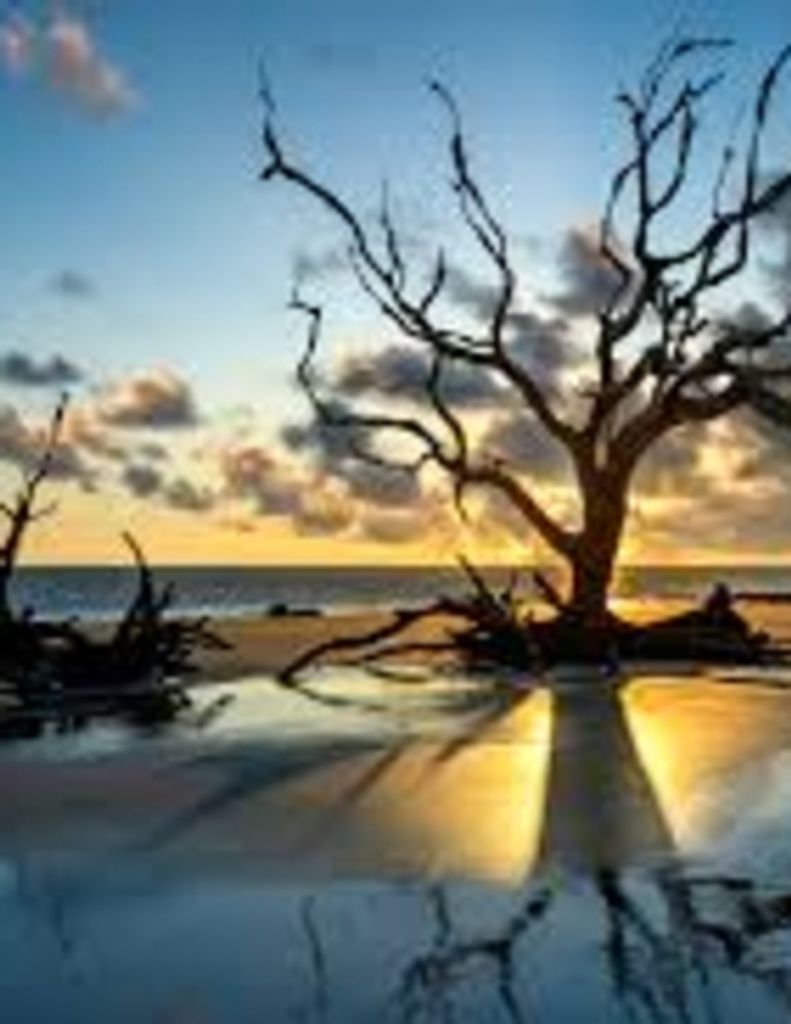 Michael Irving Purnell