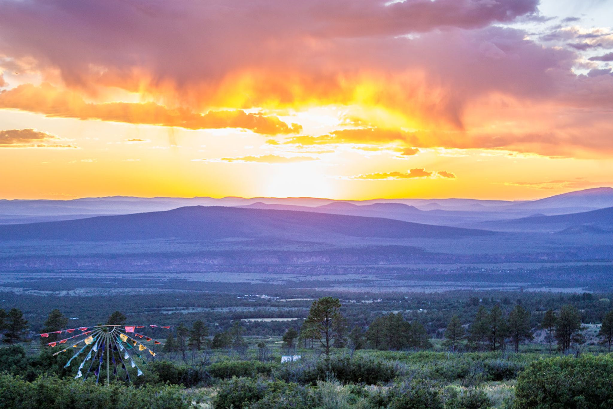 Cover for Margaret "Peggy" Isabel Nes's Obituary