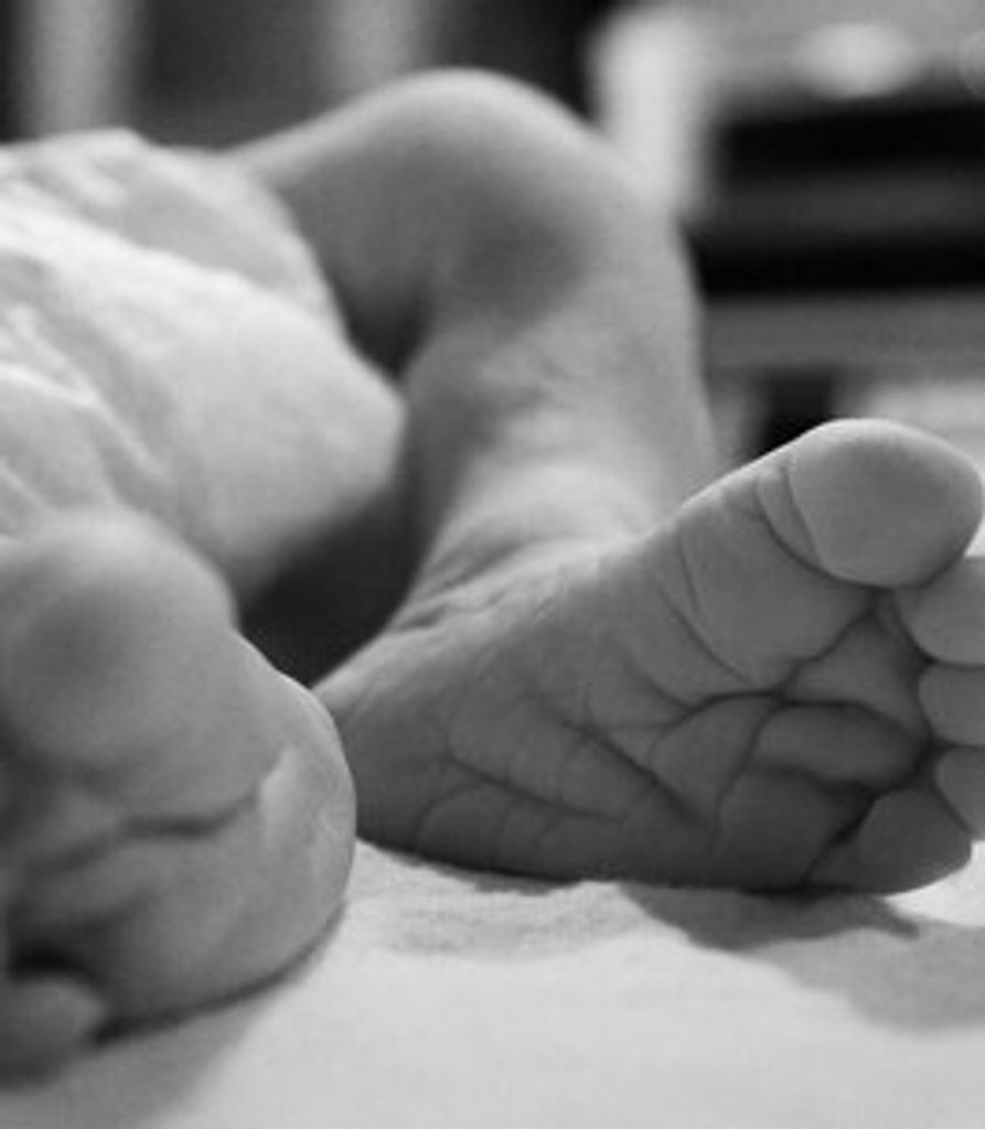 Presley Pruett Profile Photo