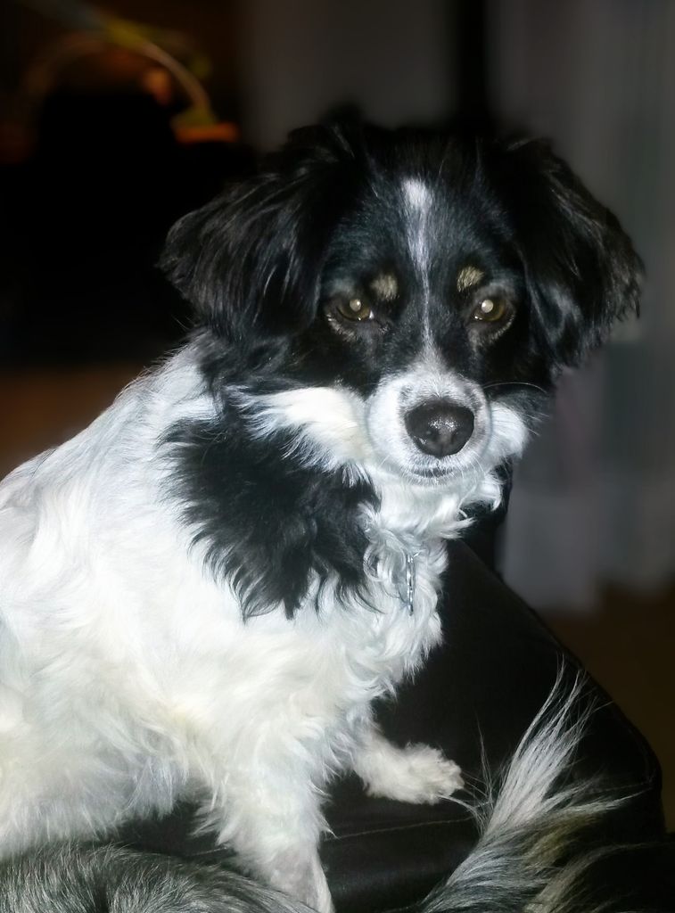 Caly Profile Photo