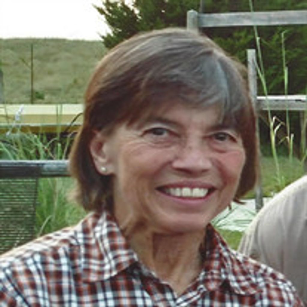 Penny L. Hulsey