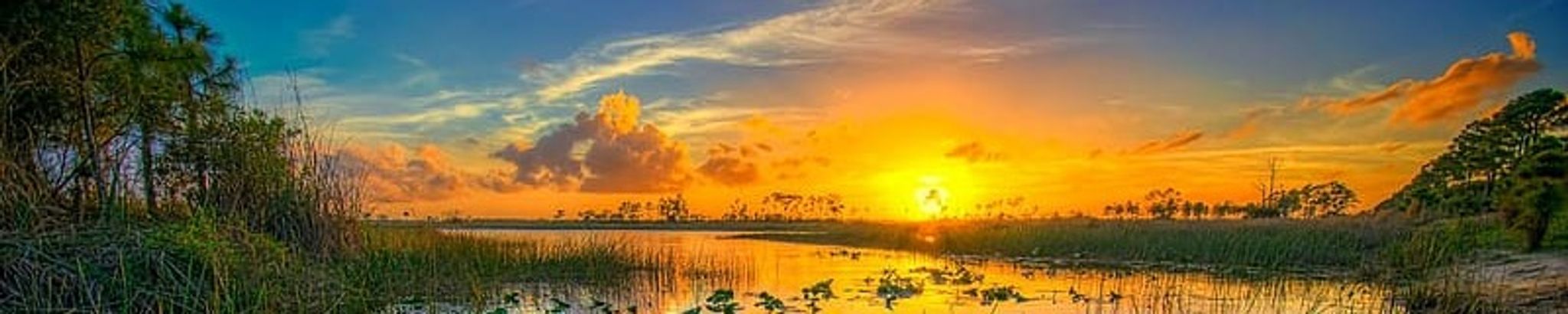 Cover photo for Kimberly Jo Wagner's Obituary