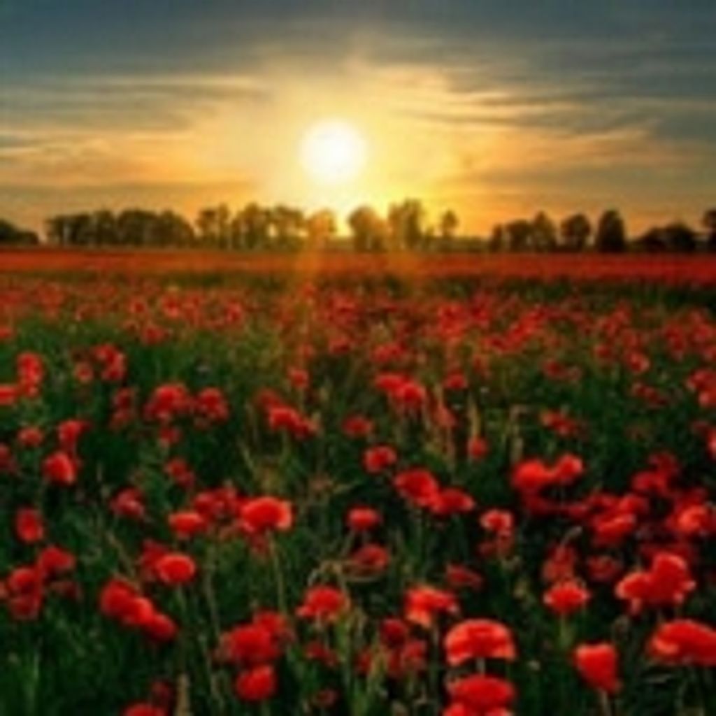 Rosemary Frances Miller