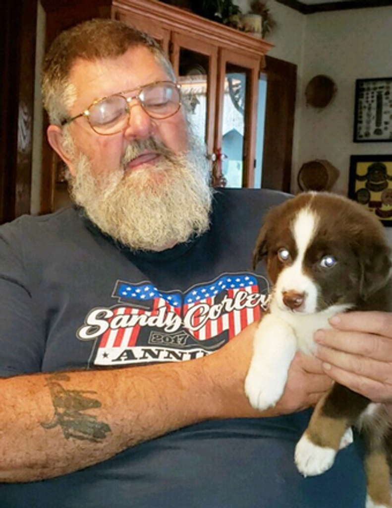 Mark E. Rolf Profile Photo