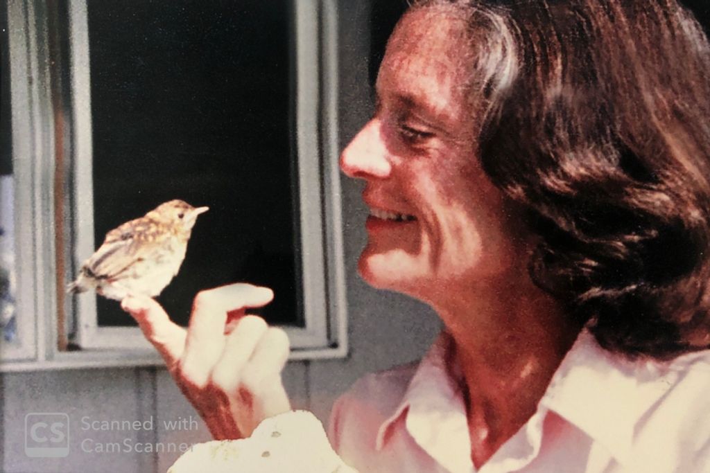 Frances "Frankie" E. Remer Profile Photo