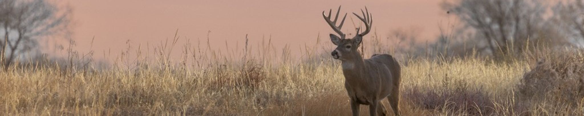 Cover photo for David L. Lange's Obituary