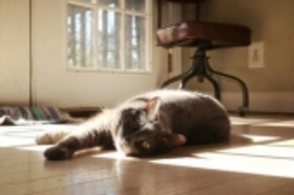 Gurl Osterberg Profile Photo