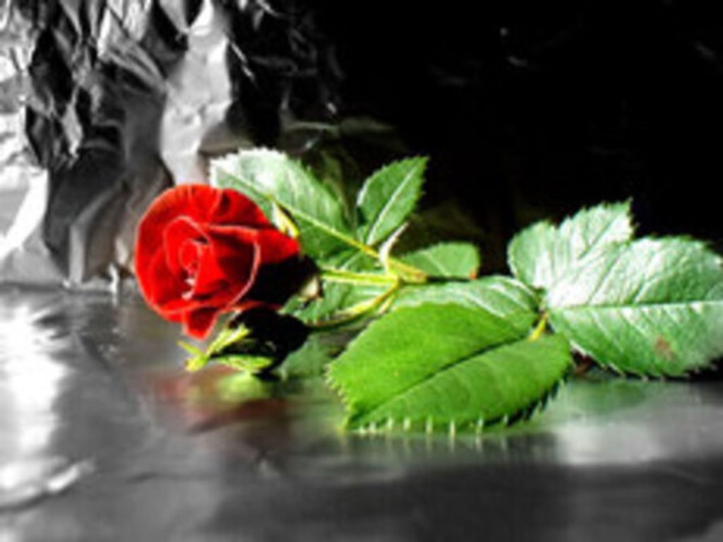 Ms. Sharon Roper Profile Photo