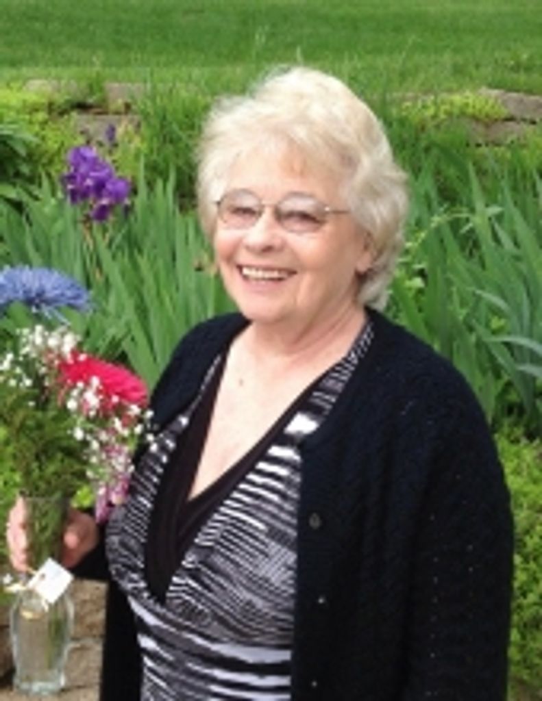 Carol Sue Perlberg