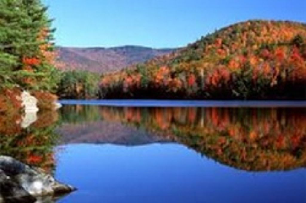 Terry Day Profile Photo