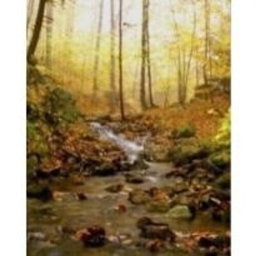 Gerald "Peanut" Craft