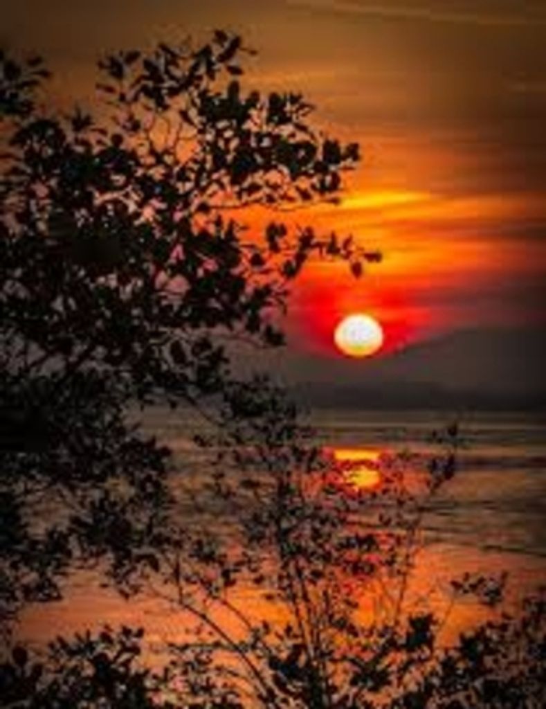 Hayden Ricardo Dixon