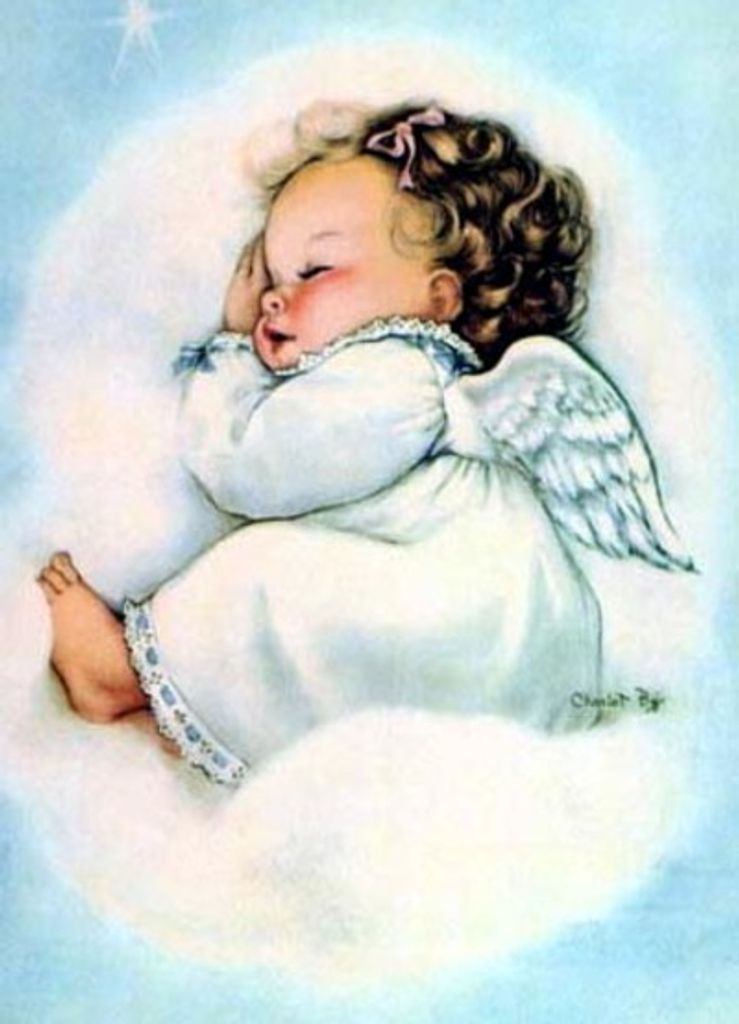 Rose Ann Stephens Profile Photo