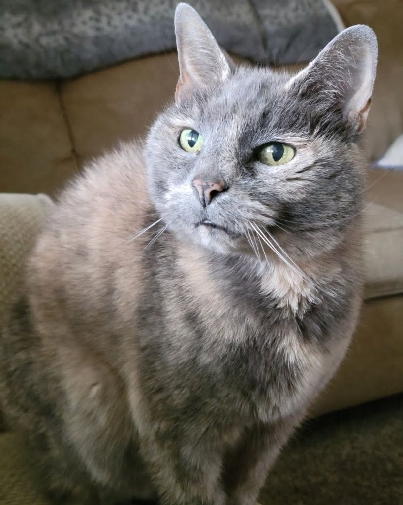 Rebel Ramsey Profile Photo