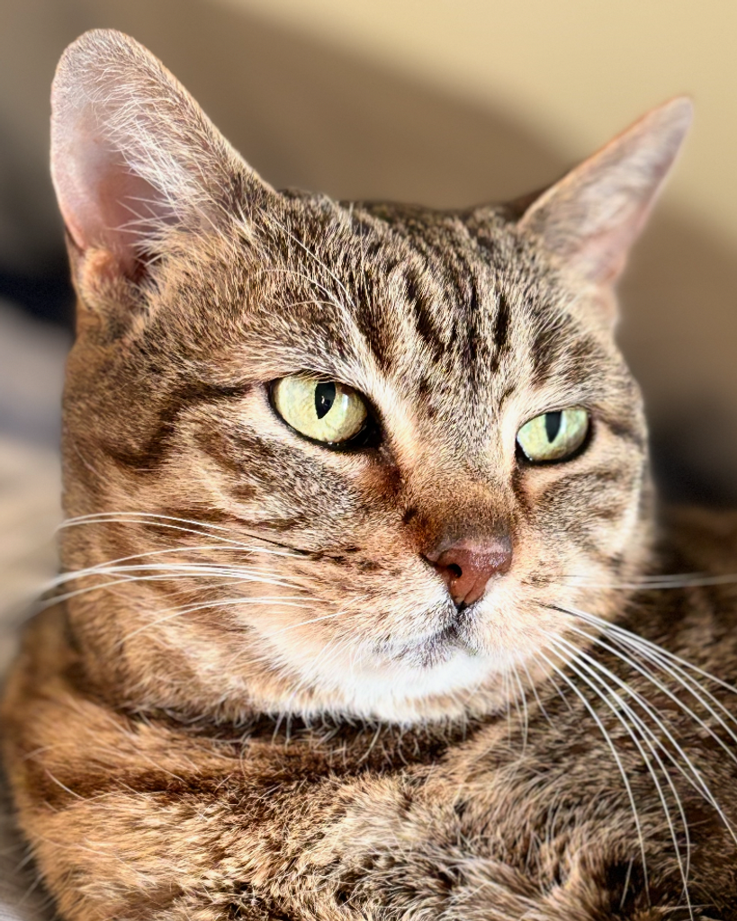 Momma Dial Profile Photo