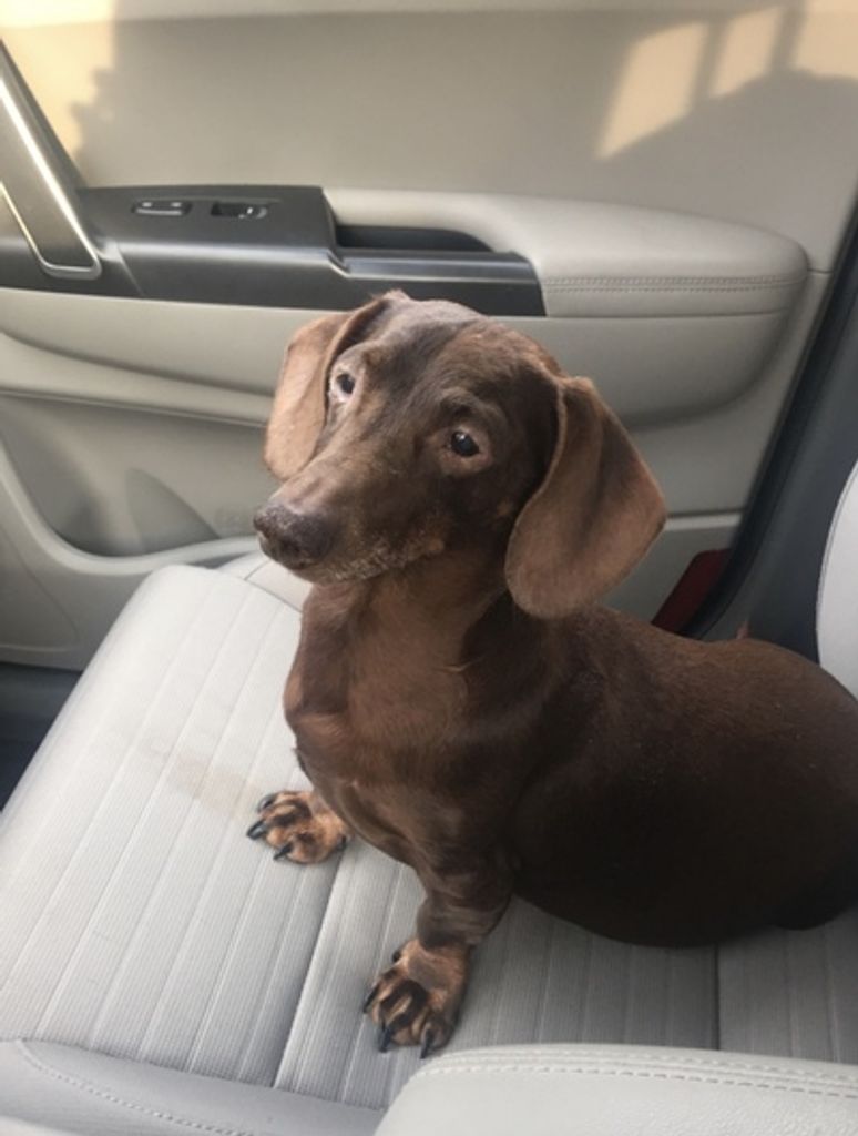 Chip Evans Profile Photo