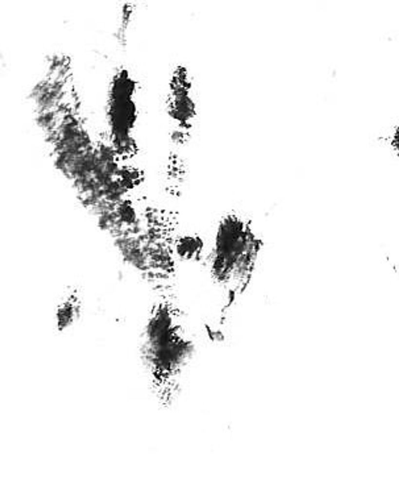 Ozzy Newburn Profile Photo