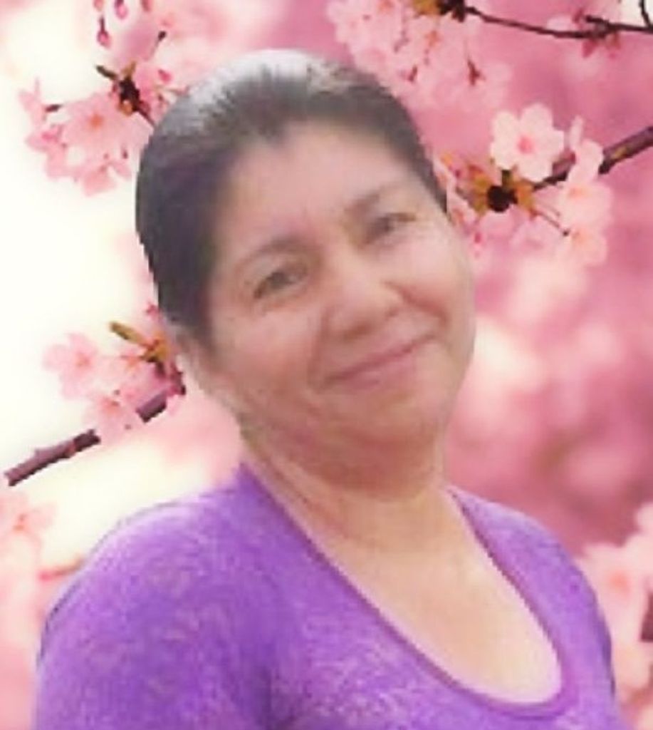 Narciza DeJesus Ullaguari Peña