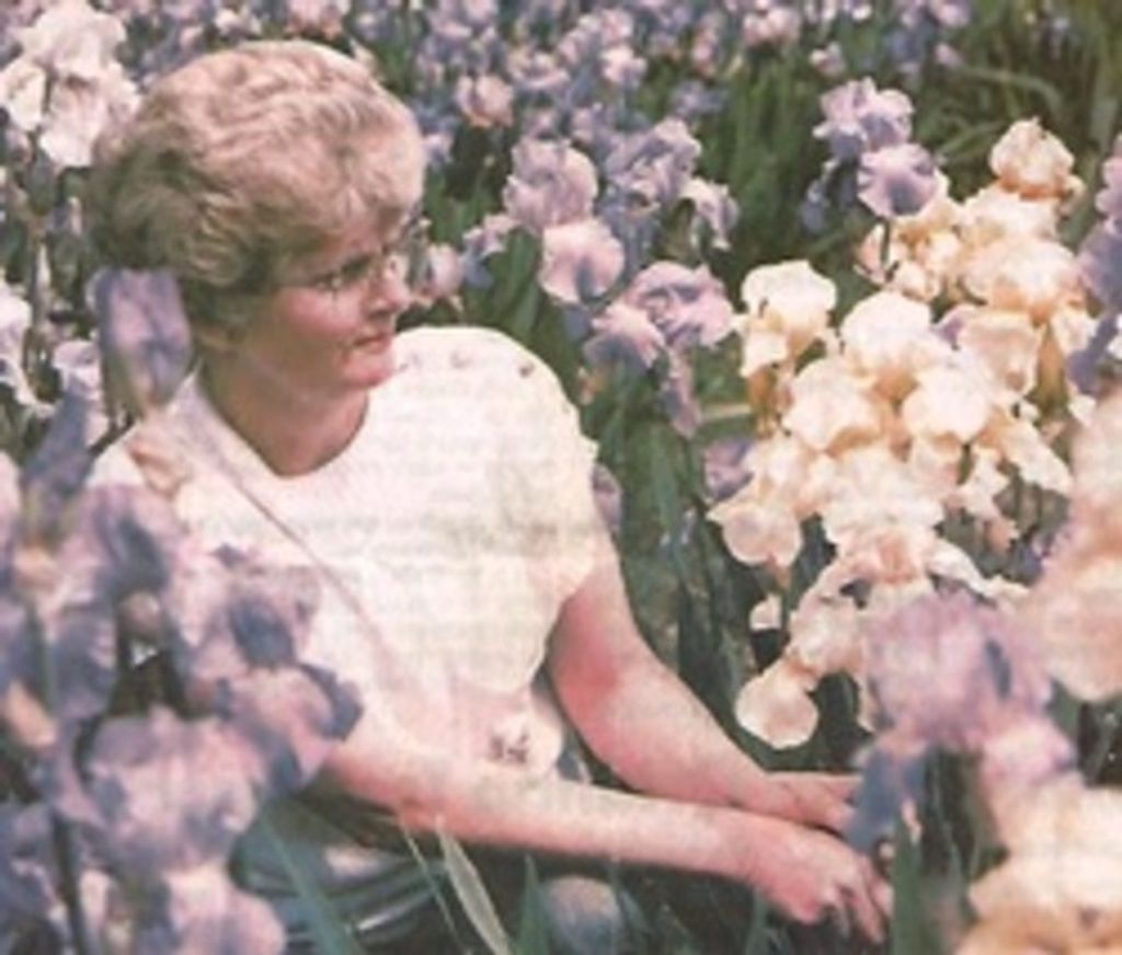 Ada Frances Norfleet