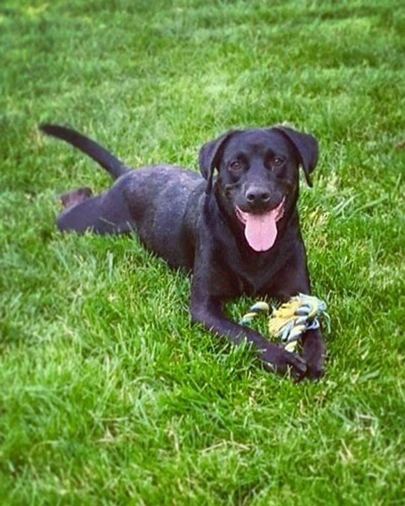 Hollander Shipp Profile Photo